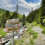 Schließlich zweigt vom breiten Forstweg ein kleiner Steig zur Valtiglalm ab