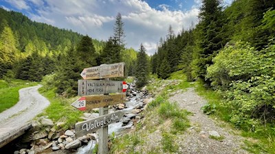 Schließlich zweigt vom breiten Forstweg ein kleiner Steig zur Valtiglalm ab