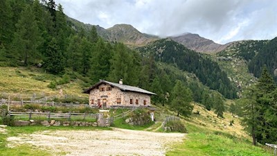 Laugenalm