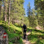 Vom Kaiserstein durch den Wald in Richtung Vajolonpass