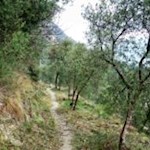 Easy hike along the enchanting Sentiero del Sole