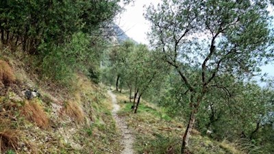 Leichte Wanderung auf dem bezaubernden Sentiero del Sole