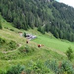 Auf dem Rückweg machen wir einen Abstecher zur beliebten Pircher Alm