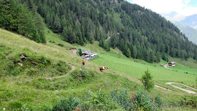 Auf dem Rückweg machen wir einen Abstecher zur beliebten Pircher Alm