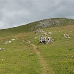 Durch sanfte Bergwiesen auf den Hochalpenkopf