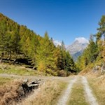 Auf dem Rückweg folgt man dem breiten Wanderweg Nr. 2