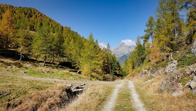 Auf dem Rückweg folgt man dem breiten Wanderweg Nr. 2